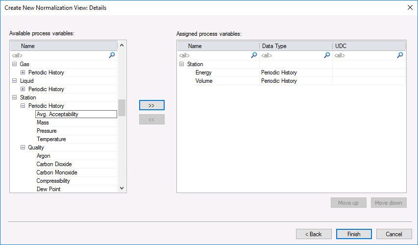 Create New Normalization View: Details